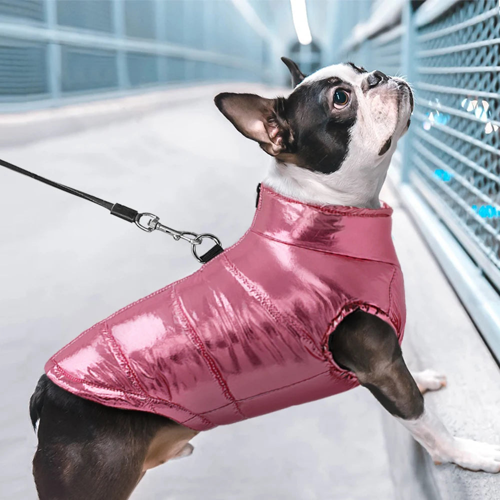 Waterproof Winter Dog Jacket – Quilted Puffer Vest for Small & Medium Dogs (Chihuahua, French Bulldog, Pug)