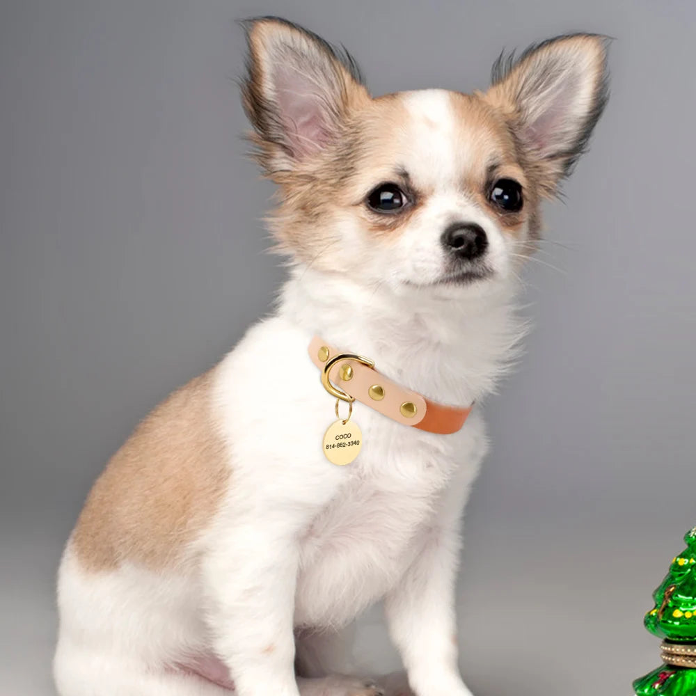 Custom Dog Cat Collar Personalized Leather Pet Dog Collar Engraved Dog Name ID Tags For Small Medium Dogs Chihuahua Yorkshire