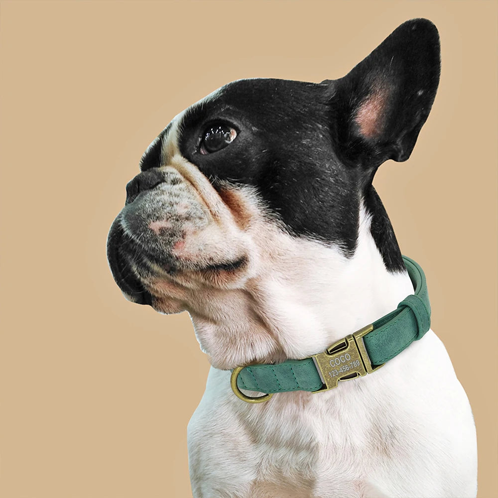 Personalized Leather Dog Collar – Free Engraved ID Tag for Dogs