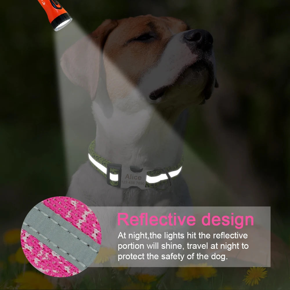 Your Dog’s New Favorite Collar – Personalized, Stylish, and Built to Last