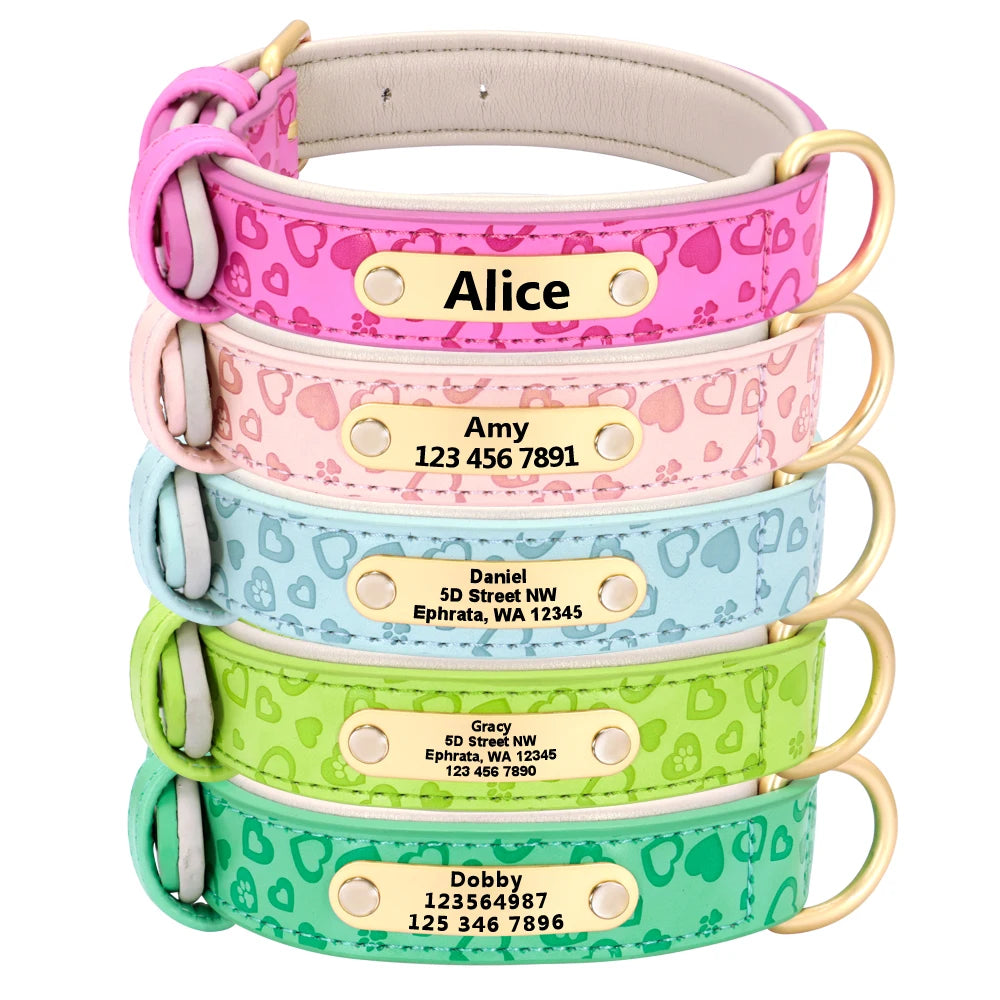 Personalized Padded Leather Dog Collar with Custom Engraved Nameplate – For Small to 2XL Dogs
