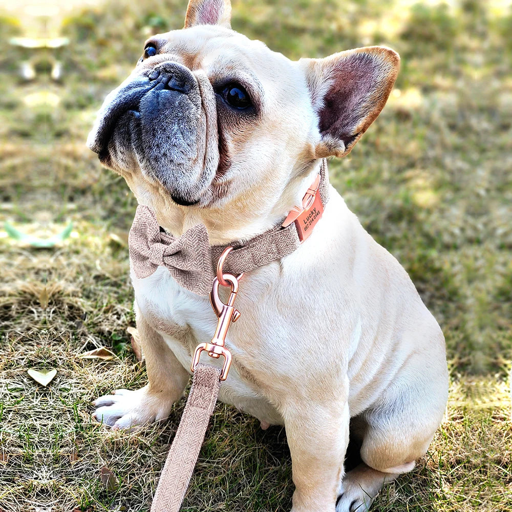 Customized Dog Collar & Leash Set – Personalized Pet Collars with Bowtie & Free Engraving