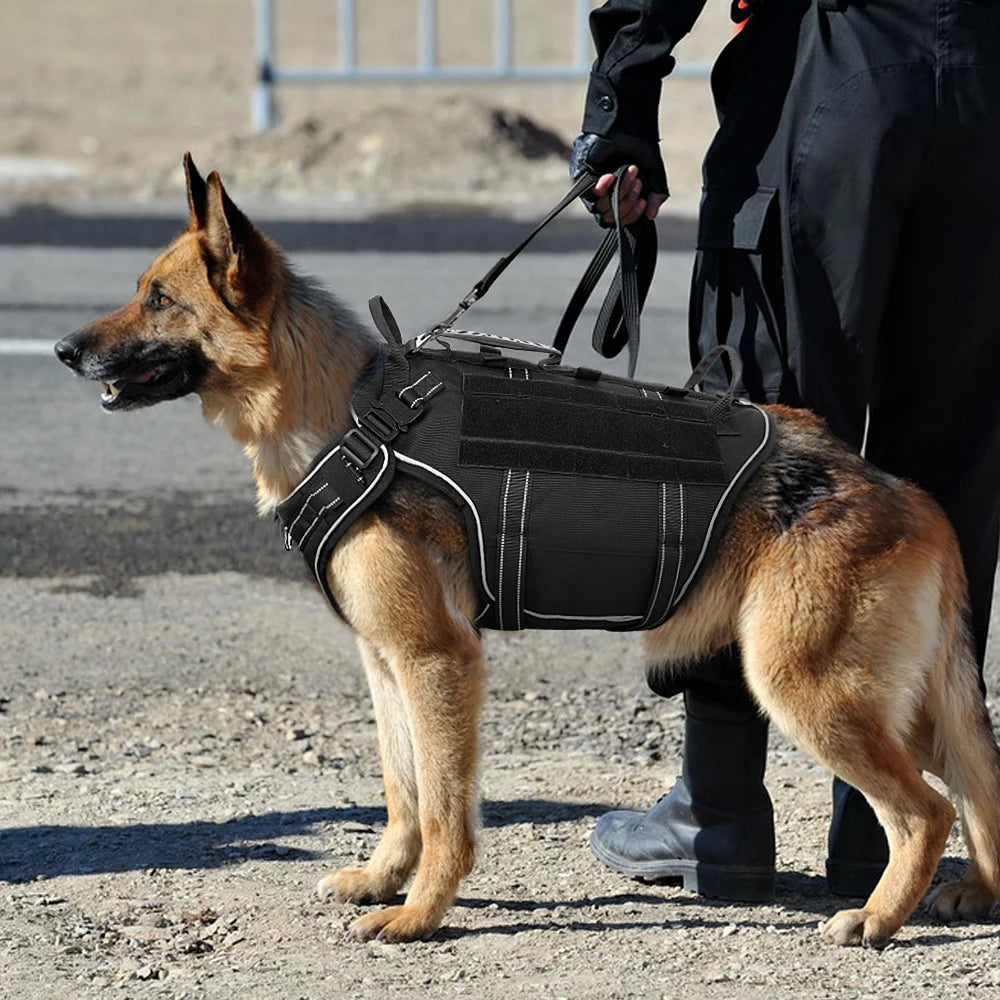 Tactical Dog Harness – No Pull Adjustable Military Training Harness with Handle & Molle System for Medium & Large Dogs