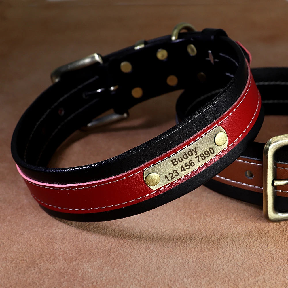 Personalized Leather Dog Collar – Soft Padded, Custom Engraved Nameplate for Medium & Large Dogs