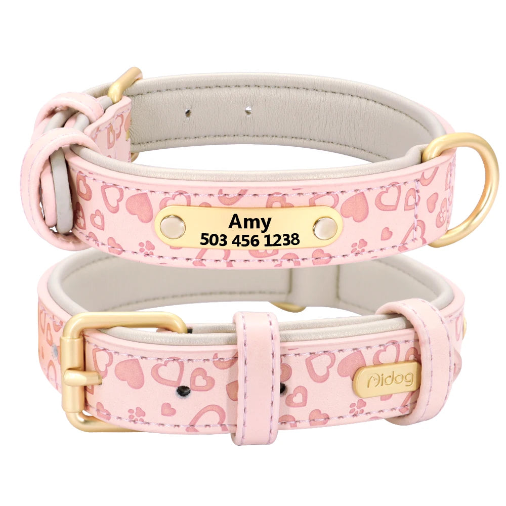 Personalized Padded Leather Dog Collar with Custom Engraved Nameplate – For Small to 2XL Dogs