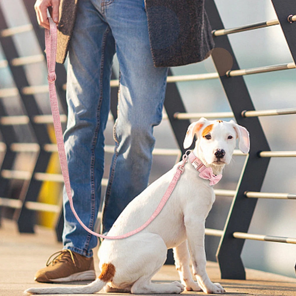 Customized Dog Collar & Leash Set – Personalized Pet Collars with Bowtie & Free Engraving