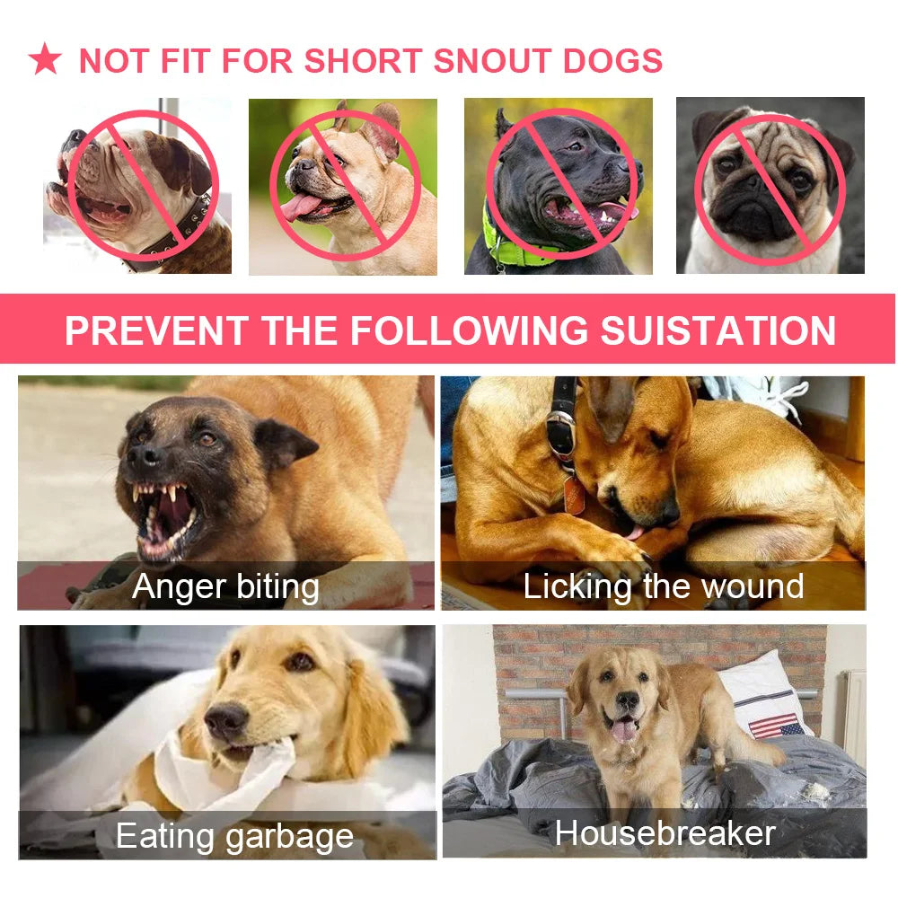 Breathable Mesh Dog Muzzle – Adjustable Anti-Bark & Chew Training Muzzle for Small, Medium & Large Dogs