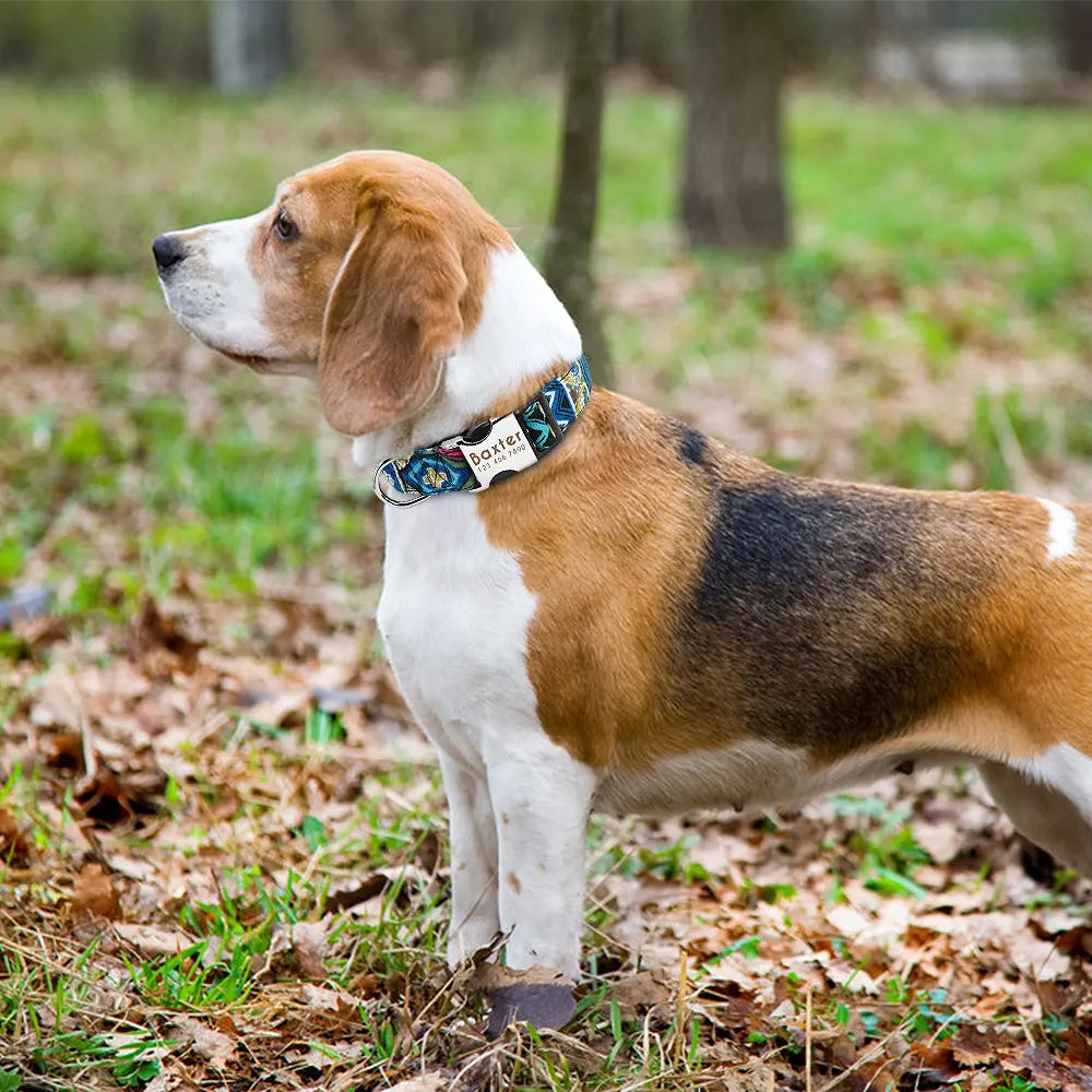 Personalized Dog Collar – Nylon Printed with Free Engraved ID Tag