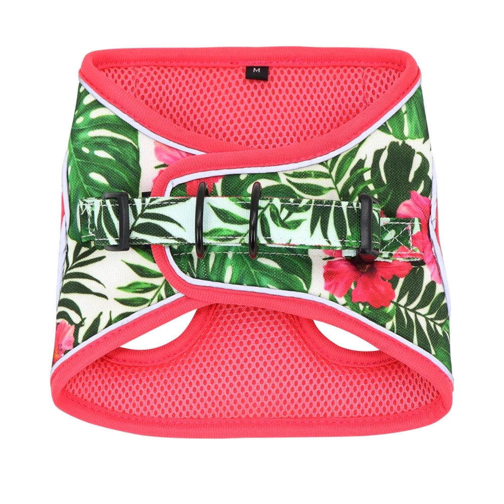 Printed Mesh Dog & Cat Harness Leash Set – Adjustable No-Pull Pet Vest with Matching Lead (Pink / Black / Blue)