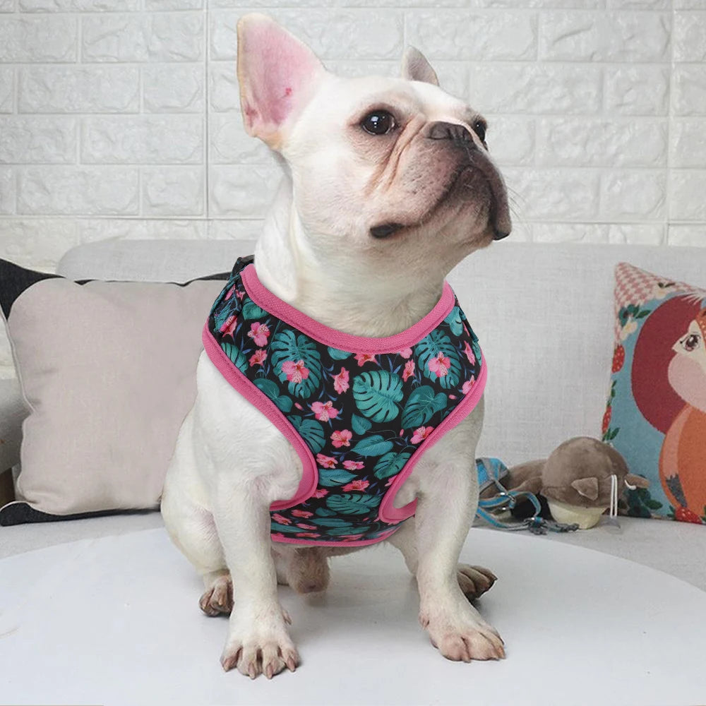 Adjustable Nylon Mesh Dog Harness Leash Set – Cute Printed Vest & Collar for Small & Medium Dogs & Cats (French Bulldog, Chihuahua, Yorkie, Puppy)