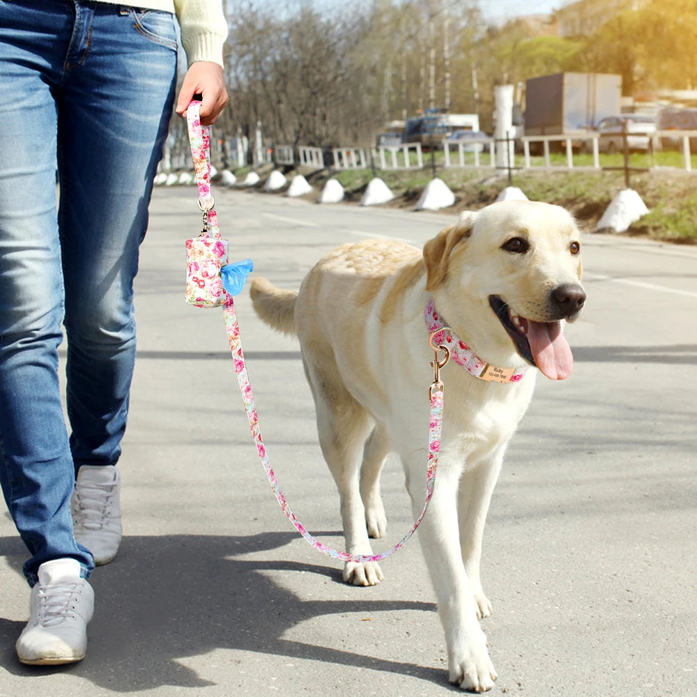 Personalized Dog Collar & Leash Set with Engraved ID Tag + Matching Treat Bag – Custom Adjustable Collar for Small, Medium &amp; Large Dogs (Pink / Blue / Beige)