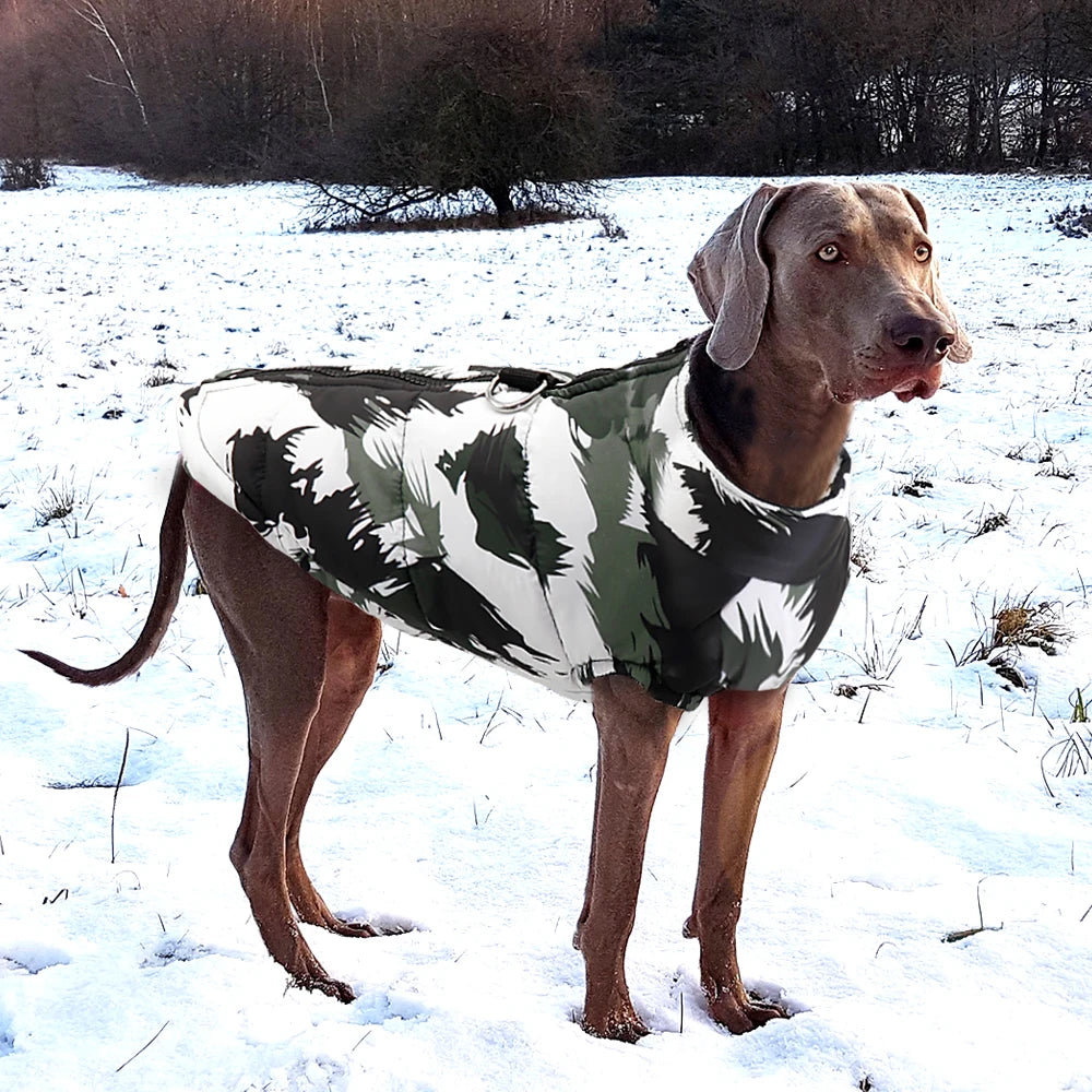 Waterproof Dog Coat with Hood – Warm Winter Jacket for Small, Medium & Large Dogs