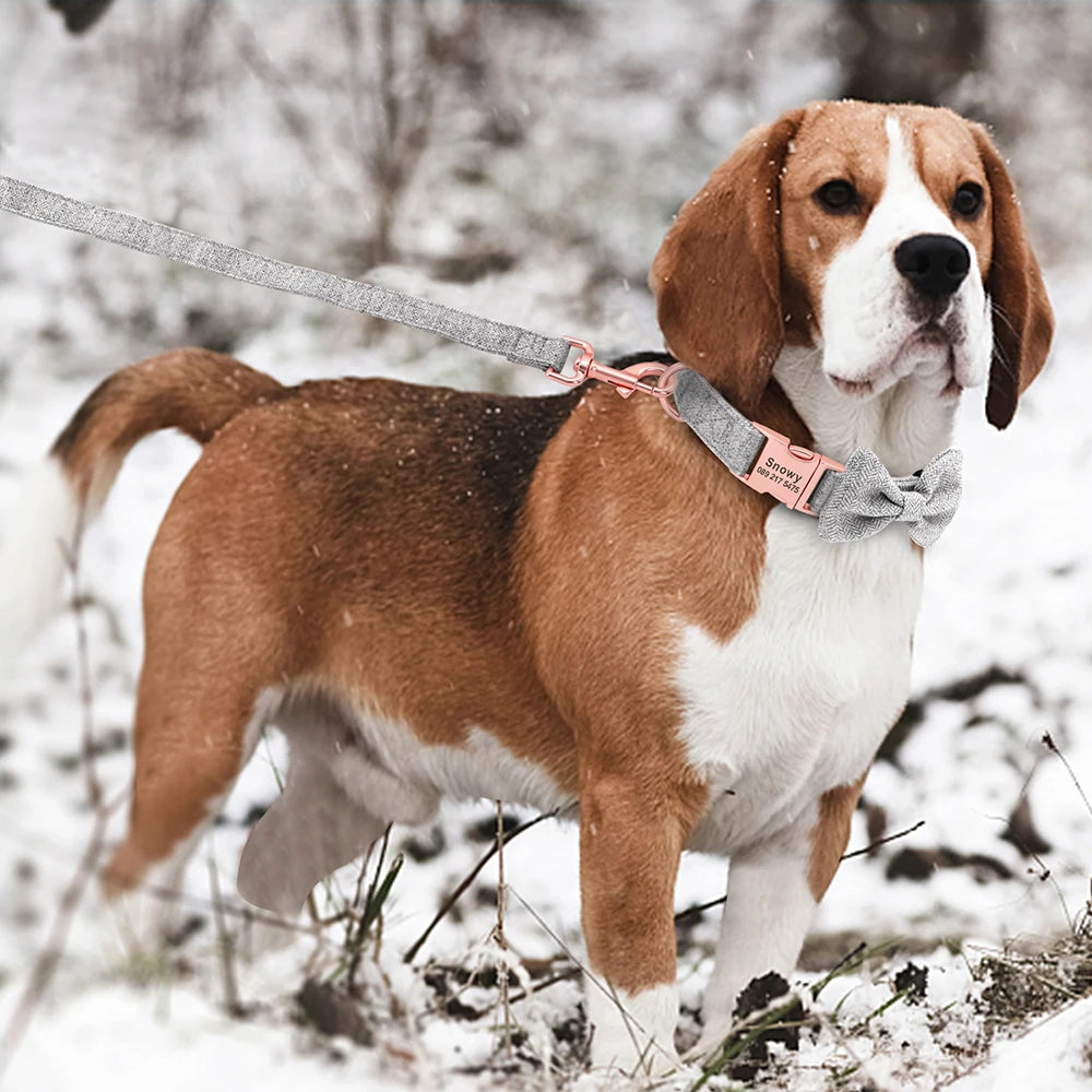 Customized Dog Collar & Leash Set – Personalized Pet Collars with Bowtie & Free Engraving