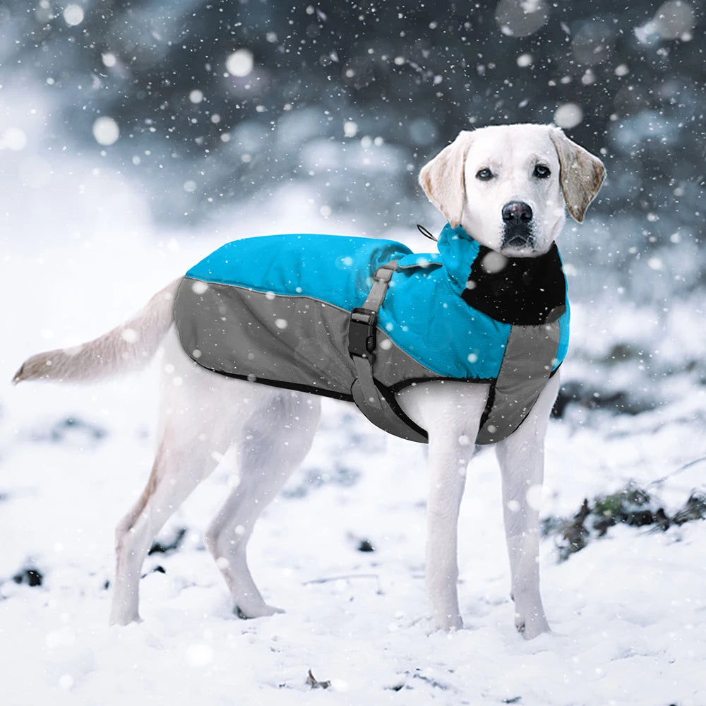 Waterproof Large Dog Coat – Warm Reflective Winter Jacket for Medium & Big Dogs (XL–6XL)