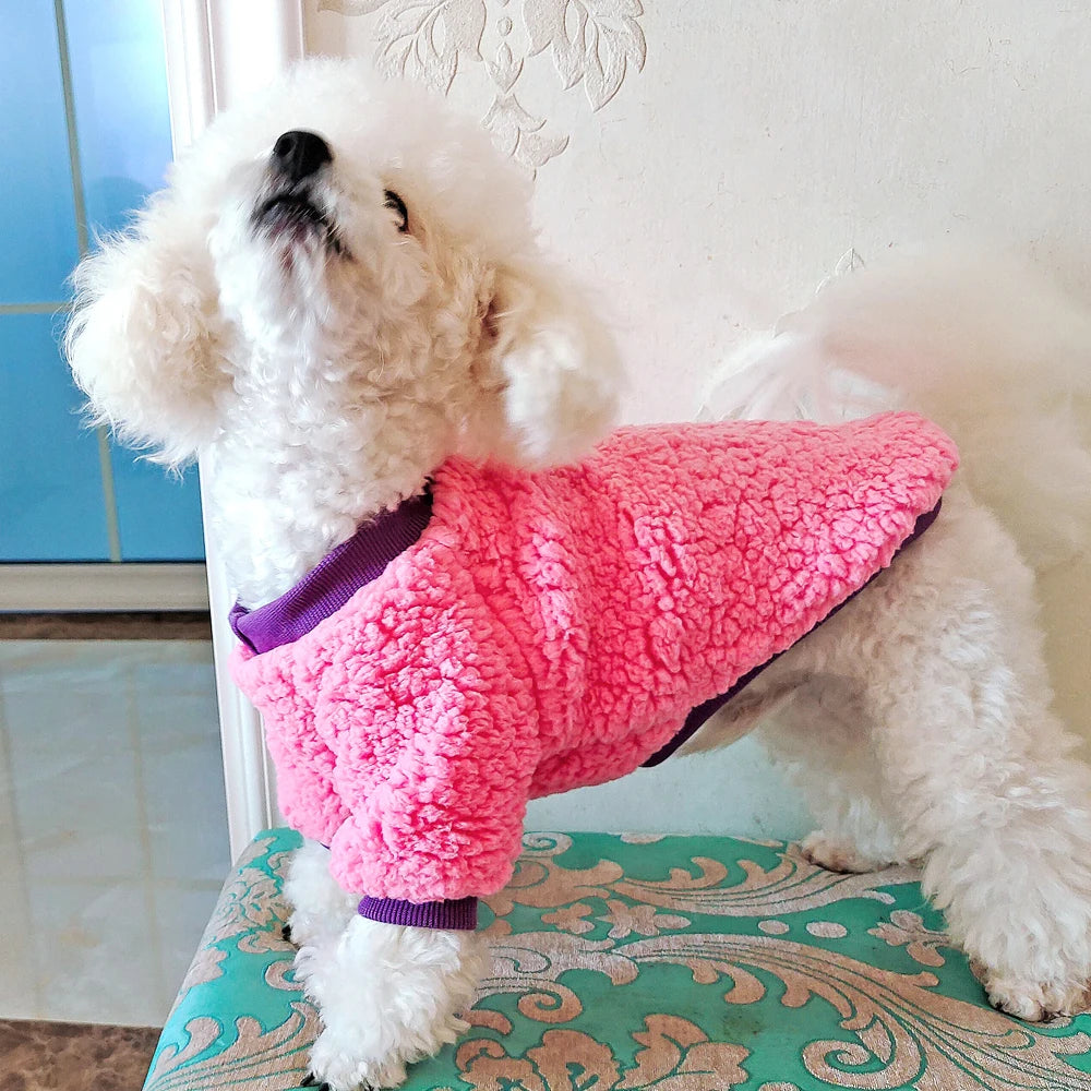 Winter Fleece Dog Jacket – Warm Teddy Coat for Small & Medium Pets