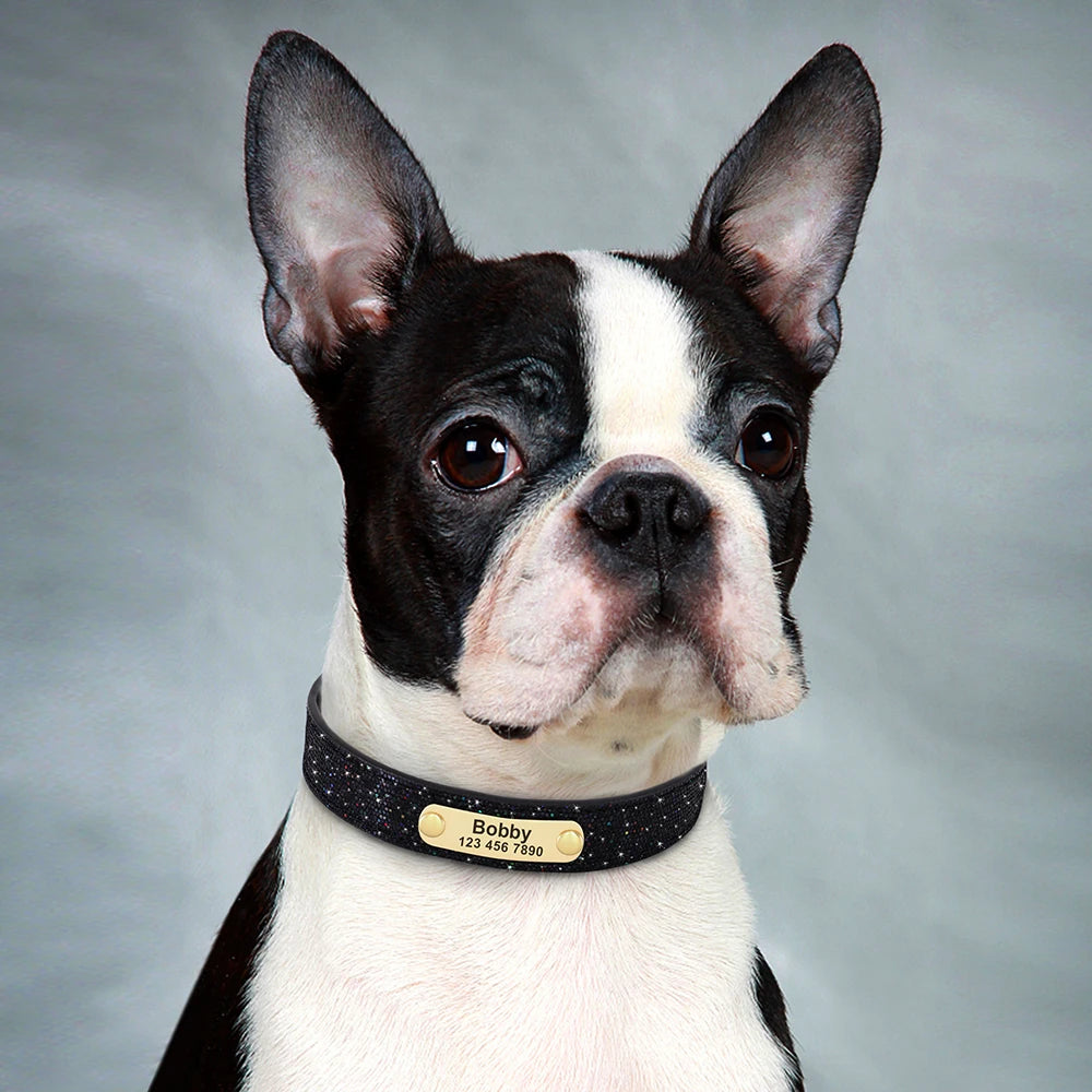 ✨ Personalized Bling Dog Collar – Sparkle, Style & Safety ✨