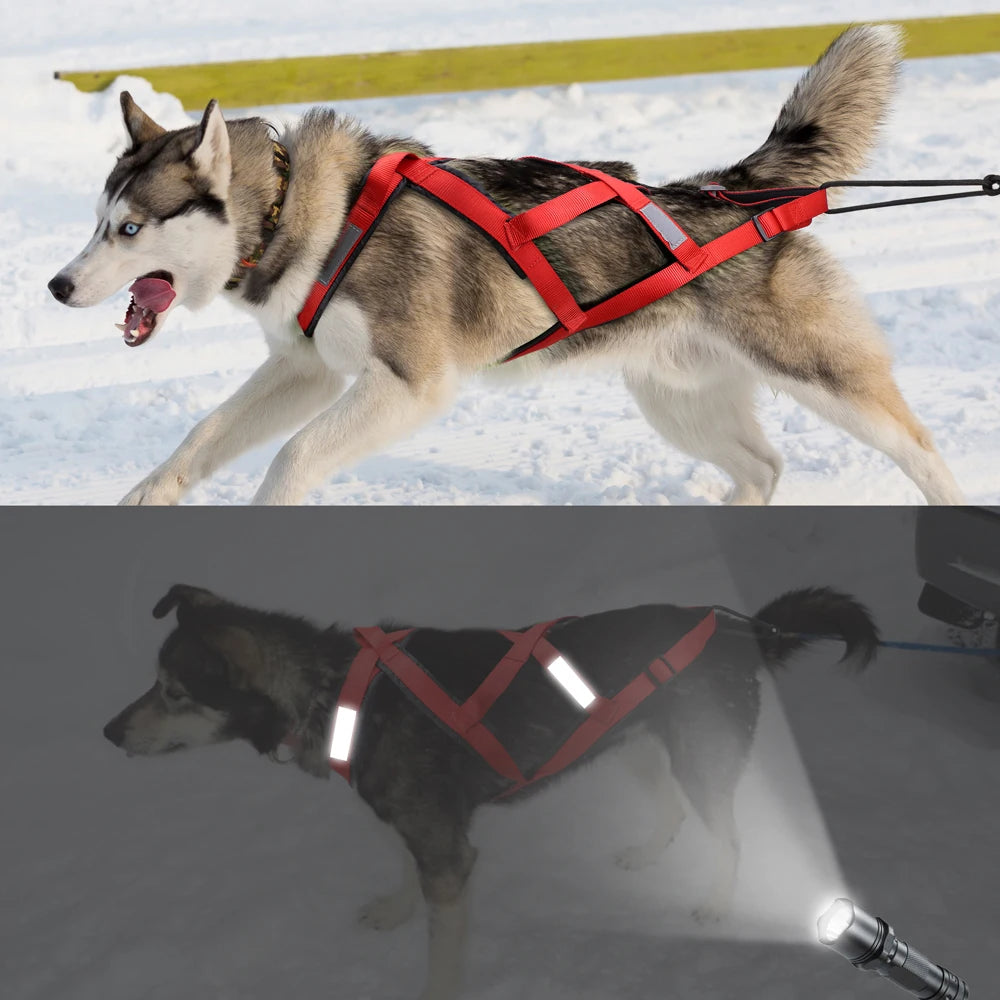 Dog Sledding Harness Reflective Pet Sledding Skijoring Harness Waterproof Big Large Dogs Weight Pulling Vest For Pet Training