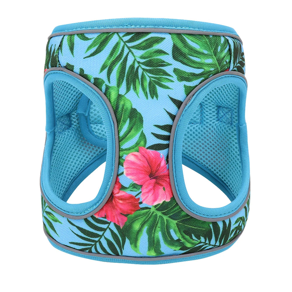 Printed Mesh Dog & Cat Harness Leash Set – Adjustable No-Pull Pet Vest with Matching Lead (Pink / Black / Blue)