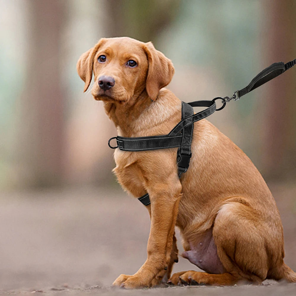 Reflective No Pull Nylon Dog Harness – Adjustable Training & Walking Vest for Medium & Large Dogs
