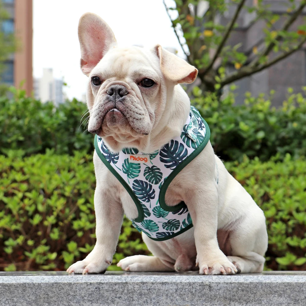 Fashion Printed Nylon Dog Harness Reflective French Bulldog Pug Harness Dog Vest For Small Medium Dogs Cats Walking Training