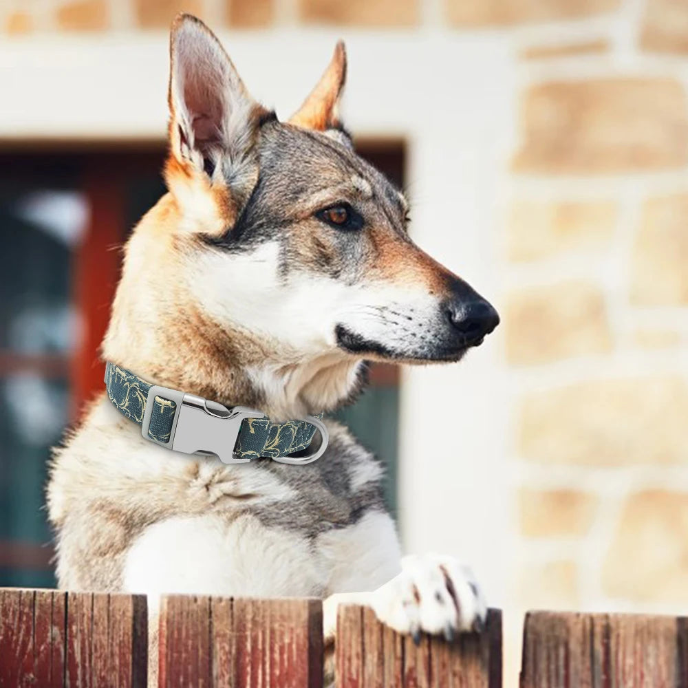 Custom Engraved Dog Collar – Personalized Printed Nylon Collar with ID Tag, Name & Phone Number for Small & Large Dogs
