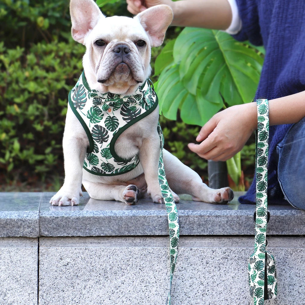 6-Piece Dog Harness Set – Fashion Printed Harness with Matching Collar, Leash, Bandana, Bowtie & Poop Bag Holder for Small & Medium Dogs