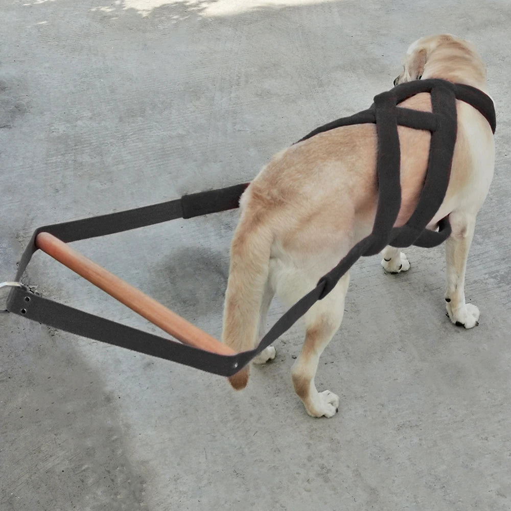 Durable Big Dog Weight Pulling Harness Dog Sledding Harness For Medium Large Dogs German Shepherd Training Pet Agility Products