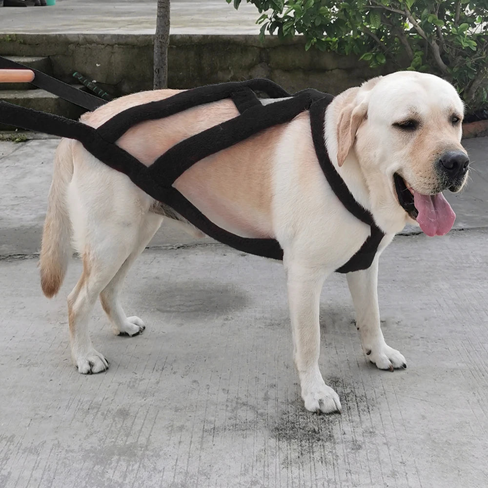 Durable Big Dog Weight Pulling Harness Dog Sledding Harness For Medium Large Dogs German Shepherd Training Pet Agility Products