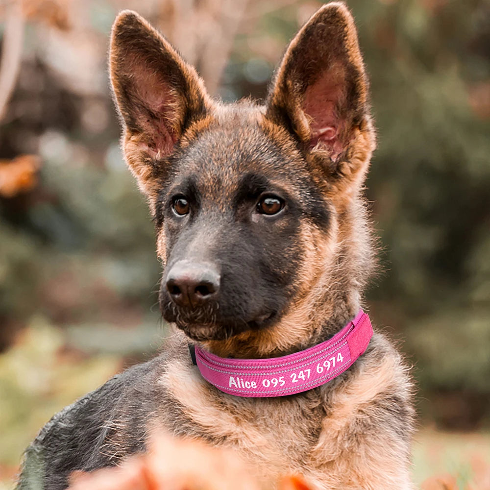 Custom Nylon Dog Collar – Military Tactical Reflective Collar for Medium & Large Dogs