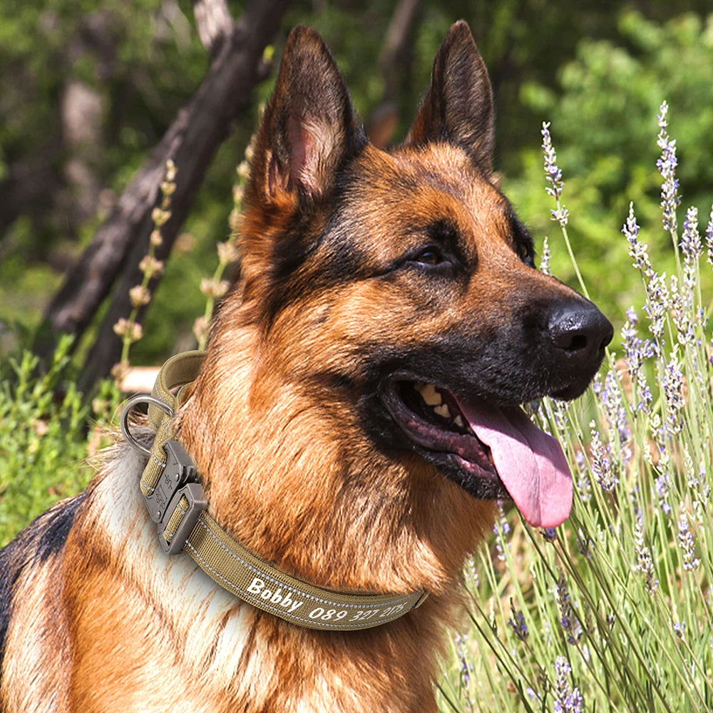 Custom Nylon Dog Collar – Military Tactical Reflective Collar for Medium & Large Dogs