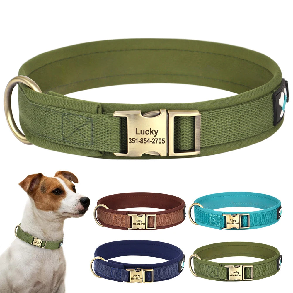 Personalized Nylon Dog Collar – Adjustable Soft Padded Pet ID Collar for Small, Medium & Large Dogs