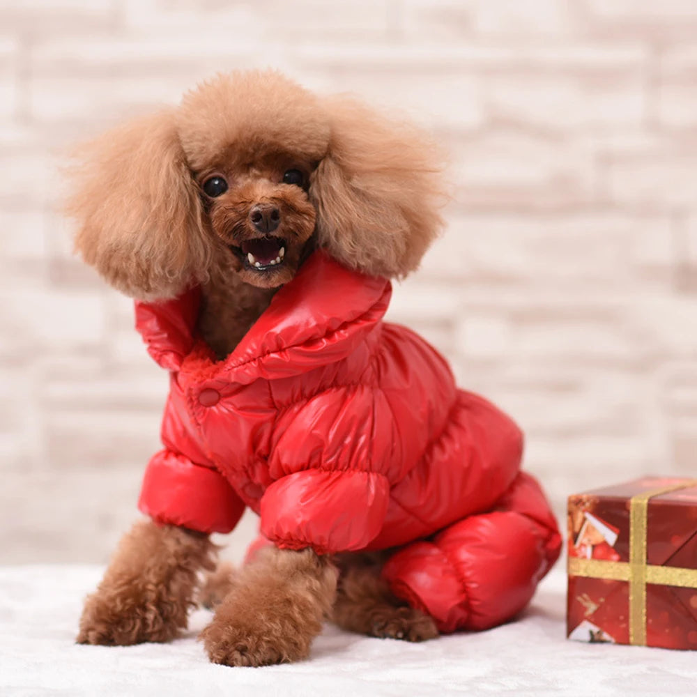 Warm Dog Clothes for Small & Medium Breeds - Winter Pet Puppy Coat Jacket