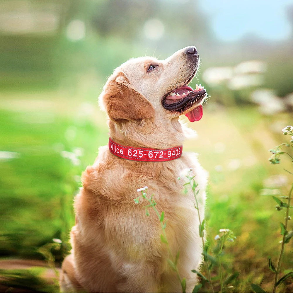 🦴 Custom Embroidered Reflective Dog Collar – Personalized Pet ID Name Nylon Collar for Small, Medium & Large Dogs