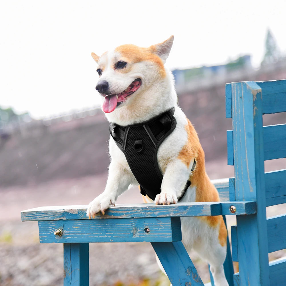 No Pull Nylon Mesh Dog Harness Breathable Pet Harnesses Vest For Medium Large Dogs Reflective Dog Chest Strap French Bulldog
