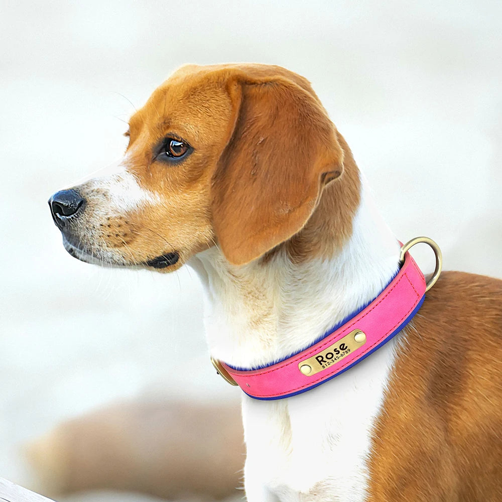 Custom Leather Dog Collar – Personalized with Free Engraving | XS–XXL Sizes