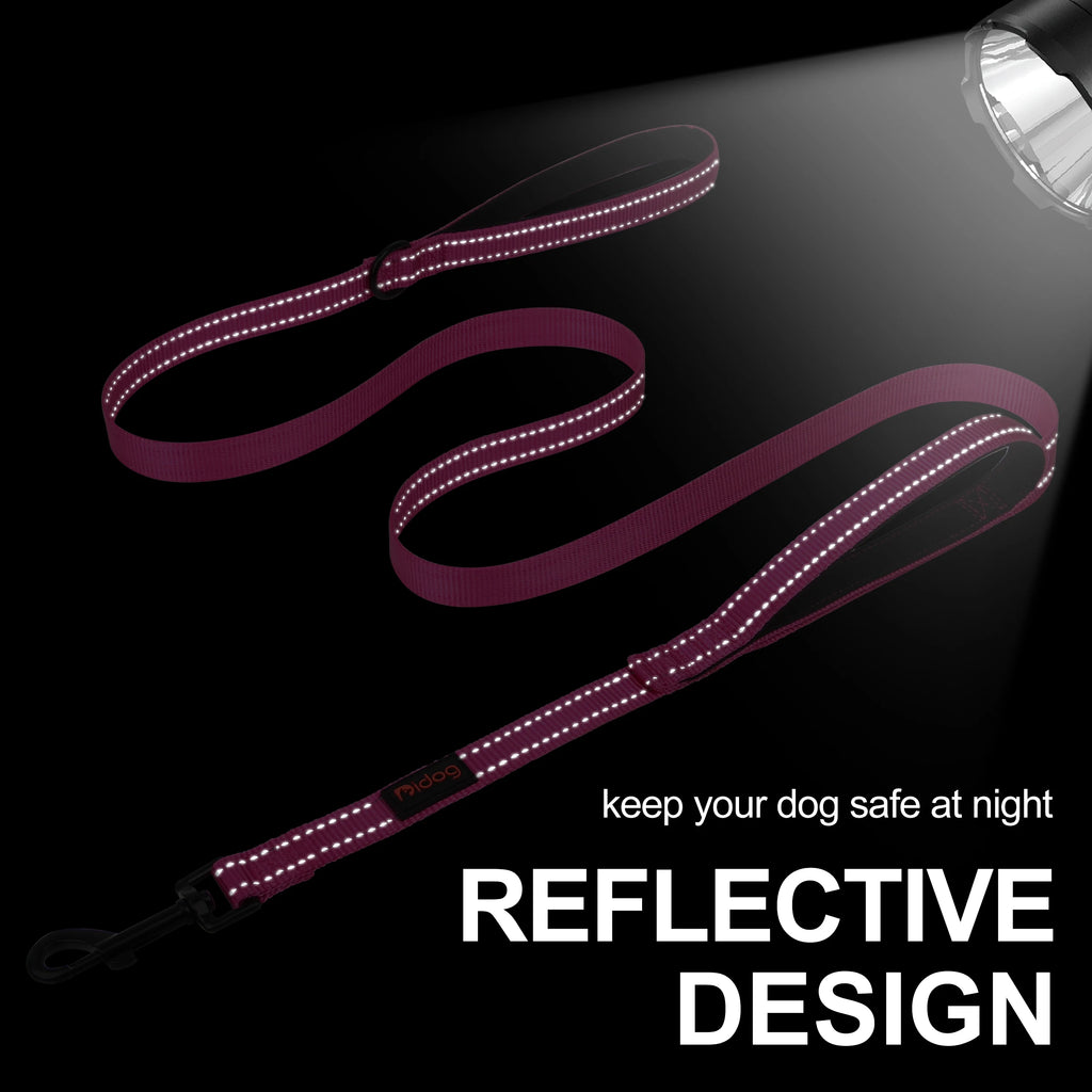 5ft Double Handle Nylon Padded Dog Leash – Reflective Training & Walking Lead for Medium Large Dogs