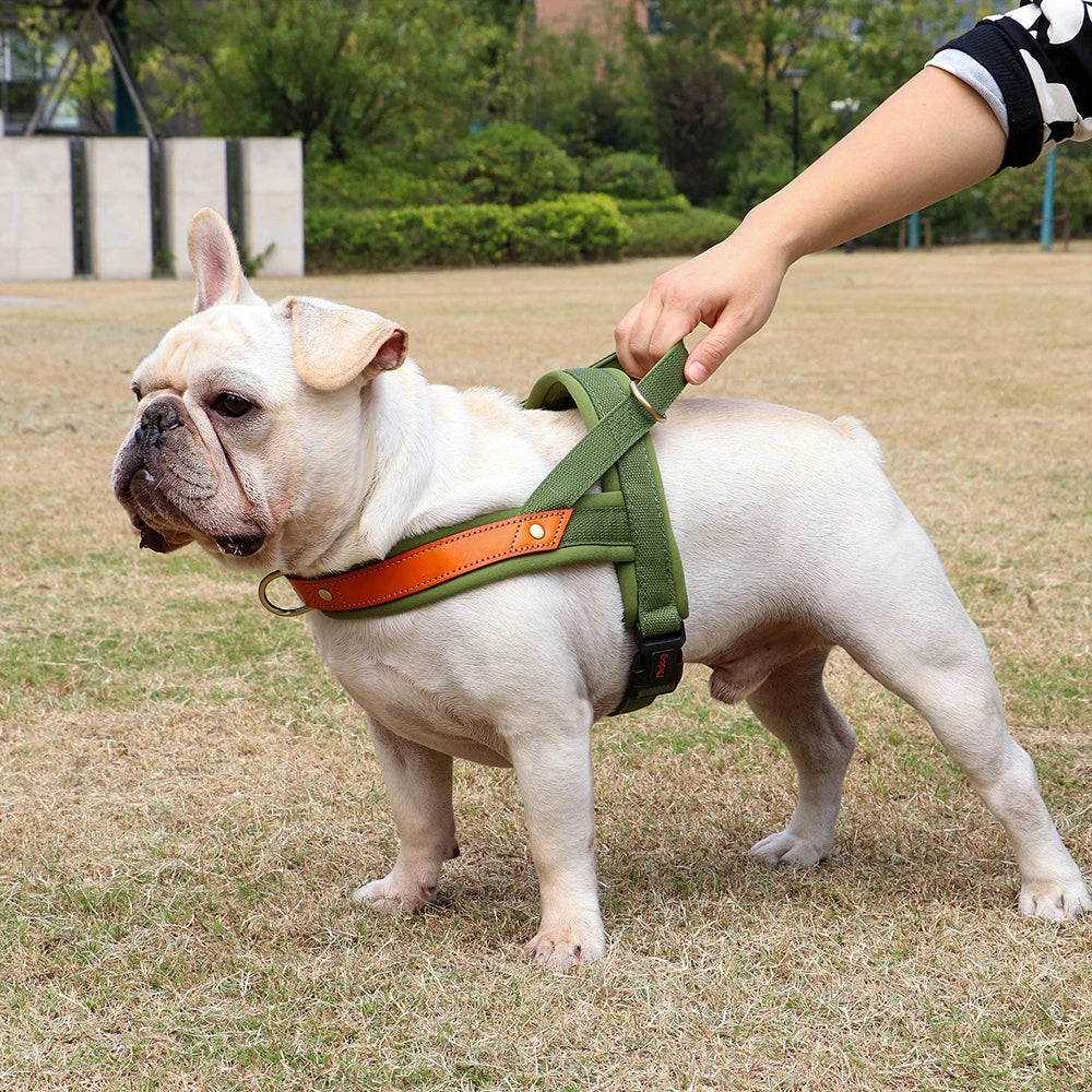 Nylon Leather Padded Dog Harness Vest Small Medium French Bulldog No Pull Pet Puppy Harnesses Adjustable Outdoor Vests Perros