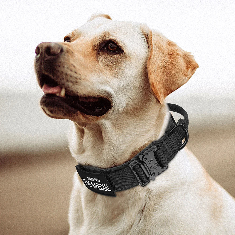 Tactical Dog Collar With Handle Nylon Military Dog Collar Adjustable Pet Training Collars For Medium Large Dogs German Shepherd