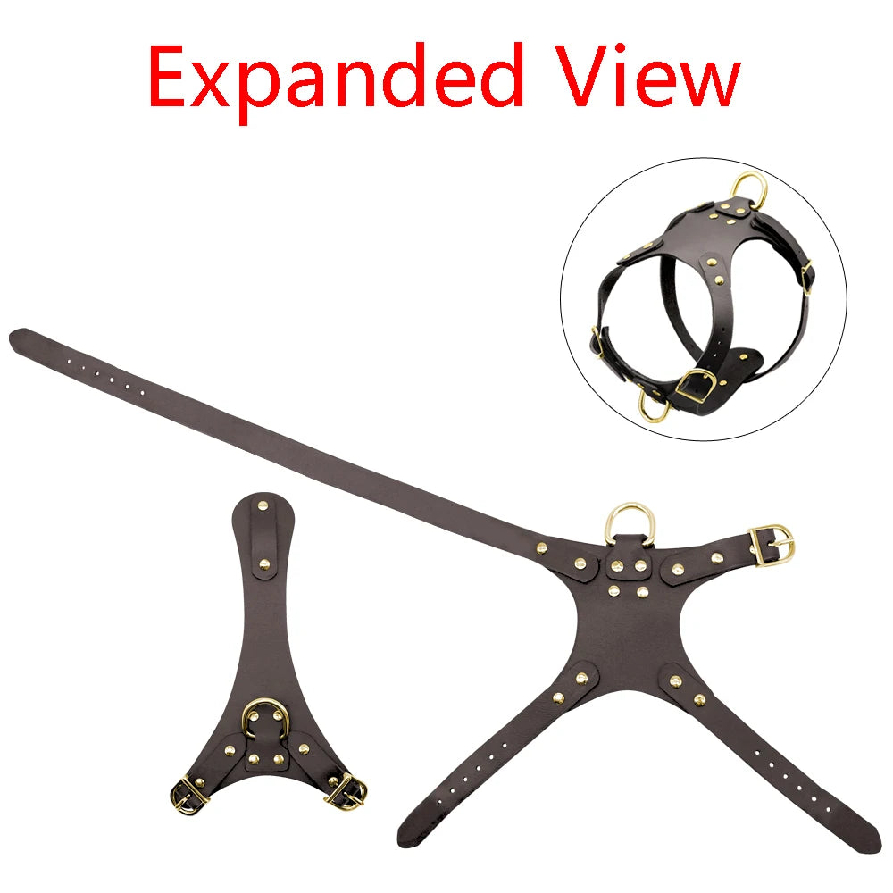 Genuine Leather Dog Harness Vest & Leash Set – Adjustable Pet Harness for Small & Medium Dogs (Pug, Beagle, Bulldog, Brown)
