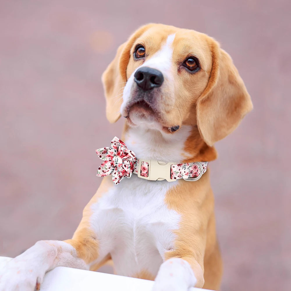 Fashion Floral Printed Nylon Dog Collar – Adjustable Spring Collar with Flower for Small & Medium Dogs (Pug, Chihuahua, Frenchie)