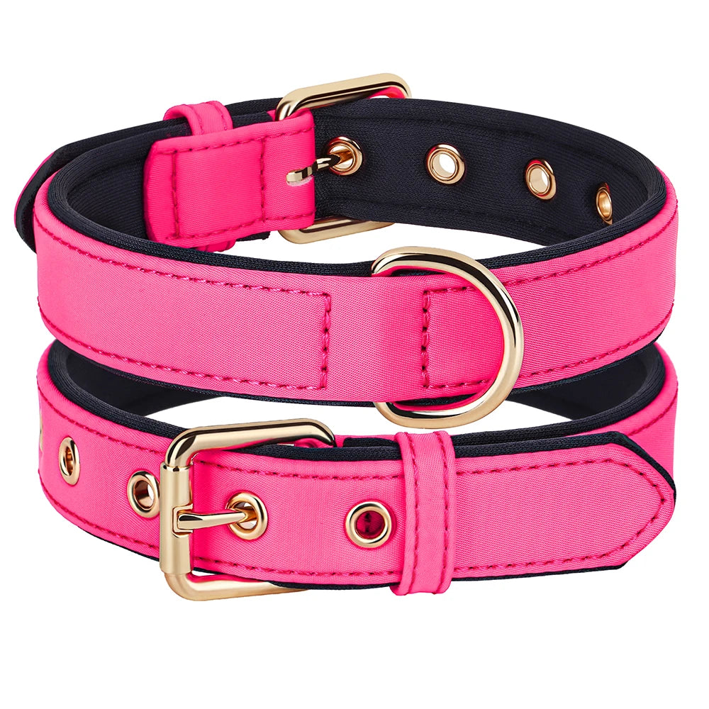 Waterproof Nylon Dog Collar – Soft Padded & Breathable Adjustable Collar for Small & Medium Dogs