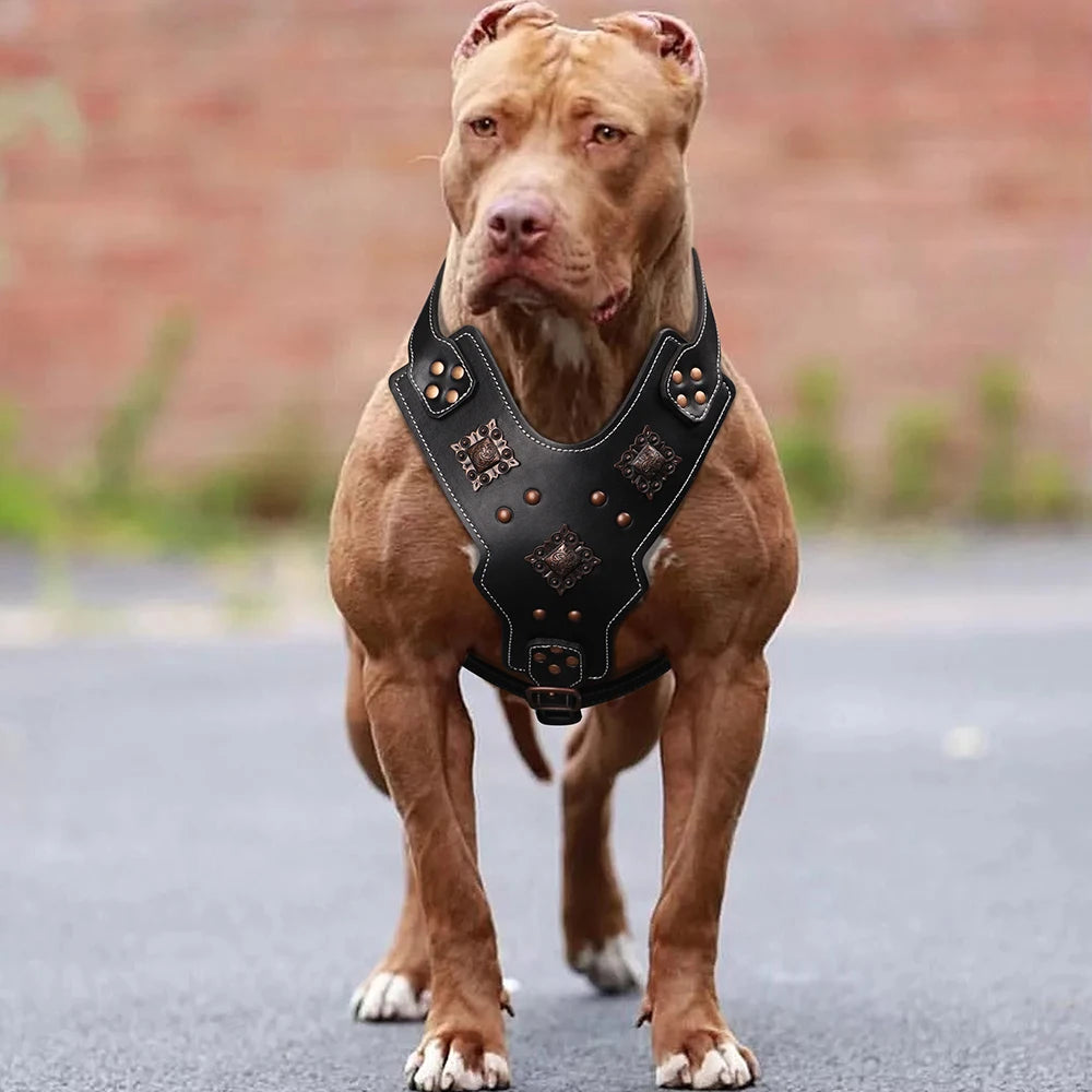 Real Leather Large Dog Harness – Durable Genuine Leather Dog Vest with Handle for German Shepherd, Pitbull, Bulldog & Big Dogs