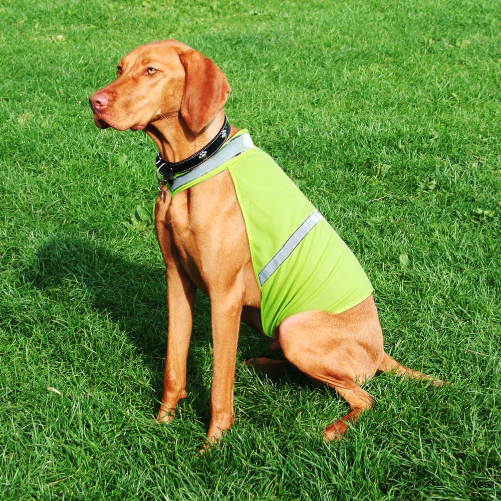 Reflective Dog Safety Vest – Breathable Outdoor Gear for Small, Medium & Large Dogs