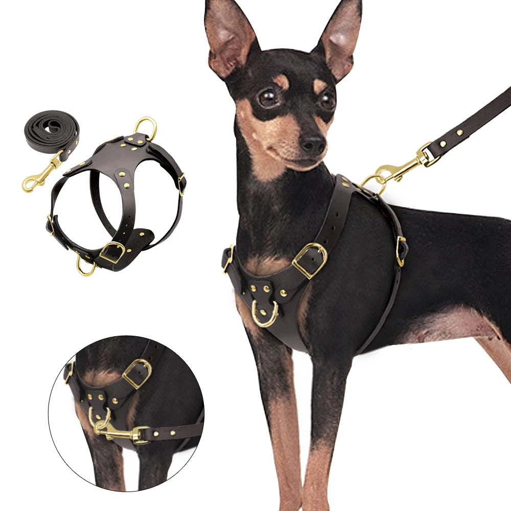Genuine Leather Dog Harness Vest & Leash Set – Adjustable Pet Harness for Small & Medium Dogs (Pug, Beagle, Bulldog, Brown)