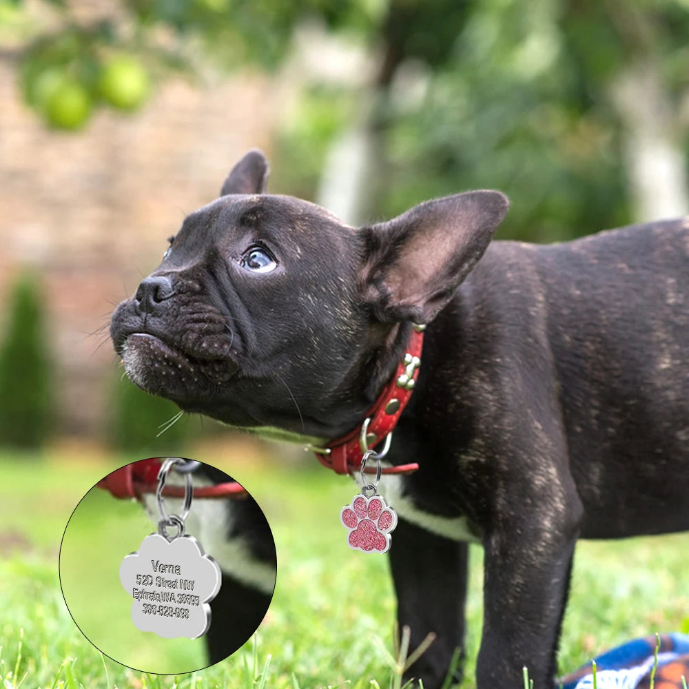 Personalized Dog & Cat ID Tag – Engraved Stainless Steel Pet Name & Address Tag