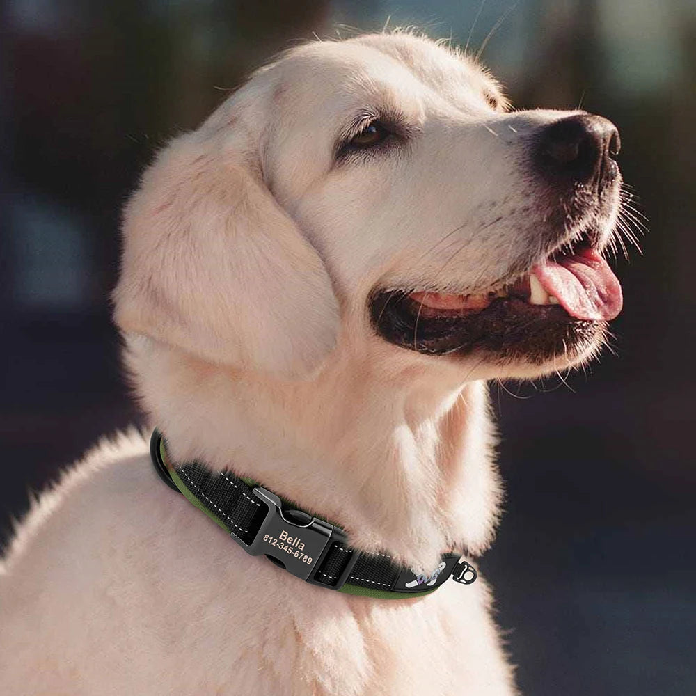 Adjustable Dog Collar - Personalized Reflective Padded Collar with Free Engraved ID Tag for Small, Medium & Large Dogs (Pitbull, Pug & More)