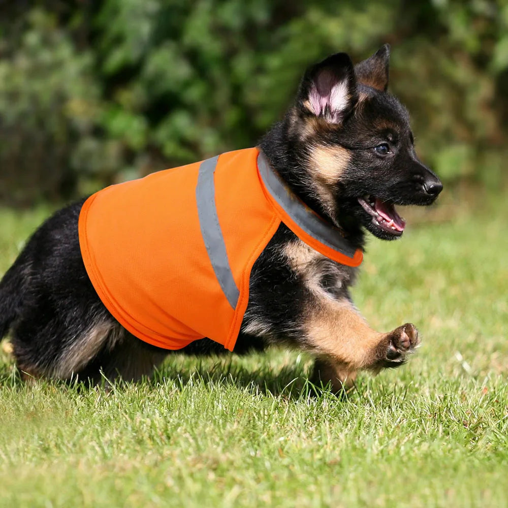 Reflective Dog Safety Vest – Breathable Outdoor Gear for Small, Medium & Large Dogs