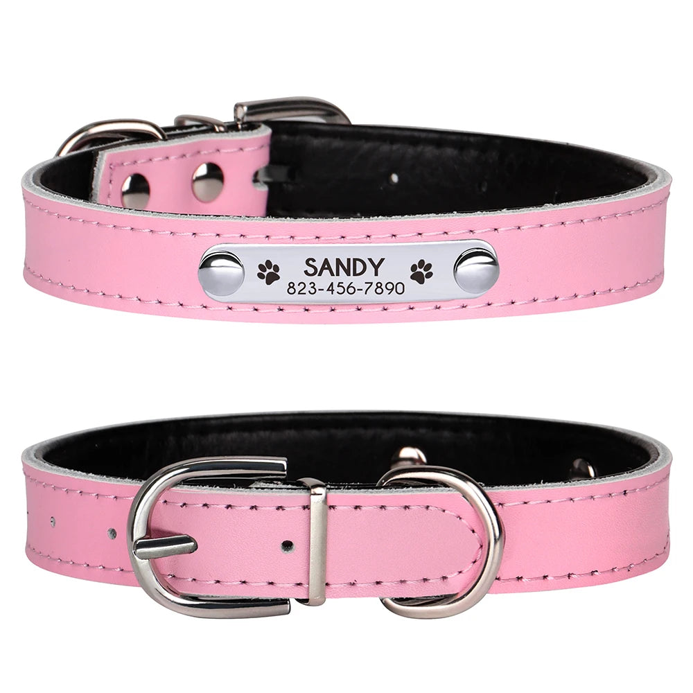 Custom Engraved Dog Collar – Personalized Puppy & Cat Collar with Nameplate – Adjustable for Small to Medium Dogs & Cats – Chihuahua, Pug, Yorkie