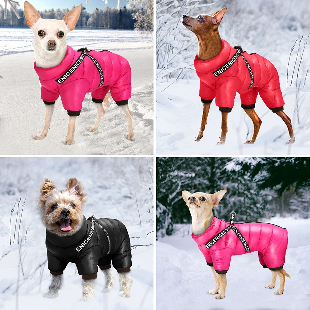 Super Warm Dog Jacket with Built-in Harness – Waterproof Winter Coat for Small & Medium Dogs