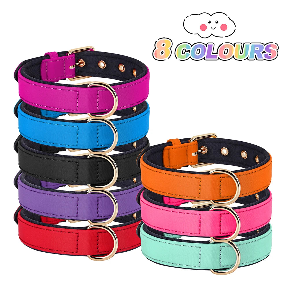 Waterproof Nylon Dog Collar – Soft Padded & Breathable Adjustable Collar for Small & Medium Dogs